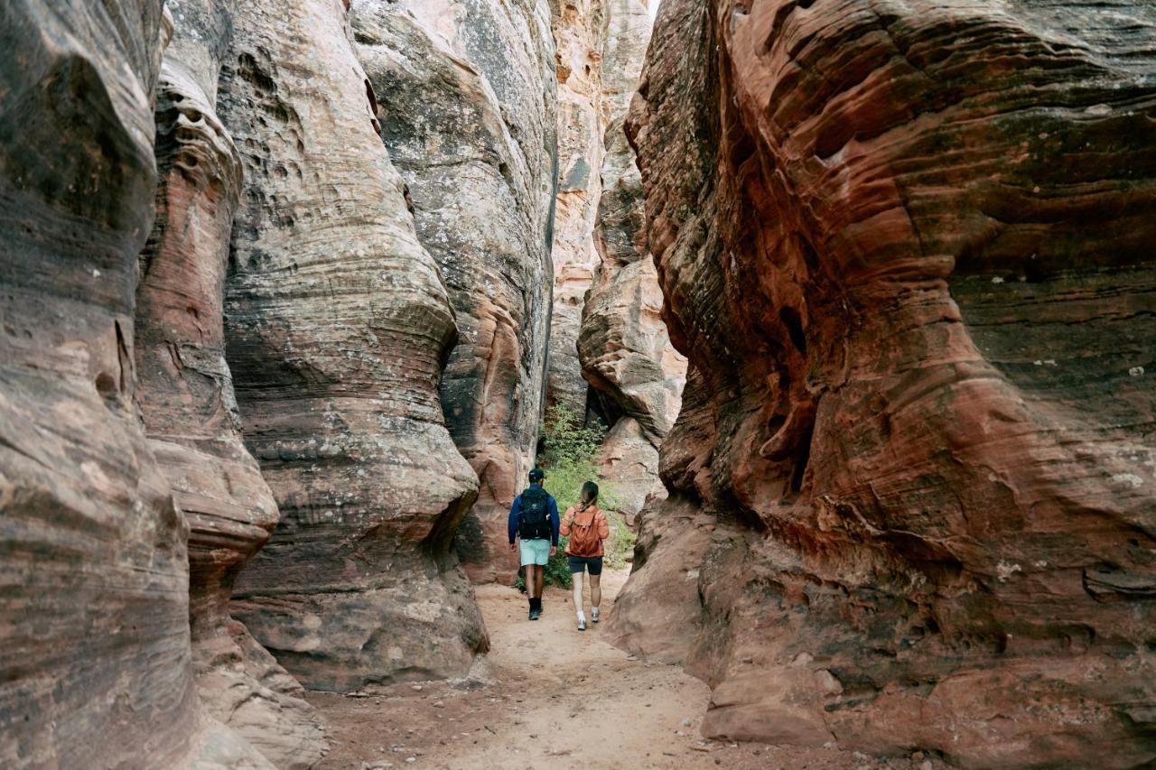 AutoCamp Zion — photo 21