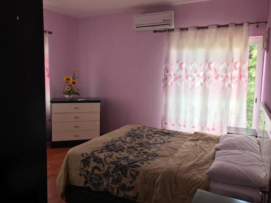 SEASIDE HAVEN KEI BHarmony Appartments - 5