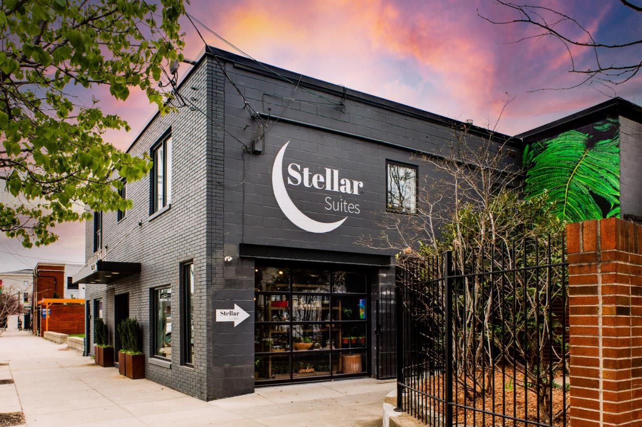 Stellar Suites — photo 3