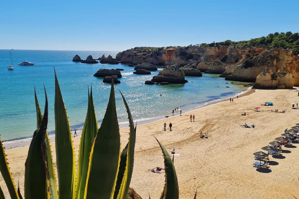Vista Bonita with views on the ocean and the hills - 2