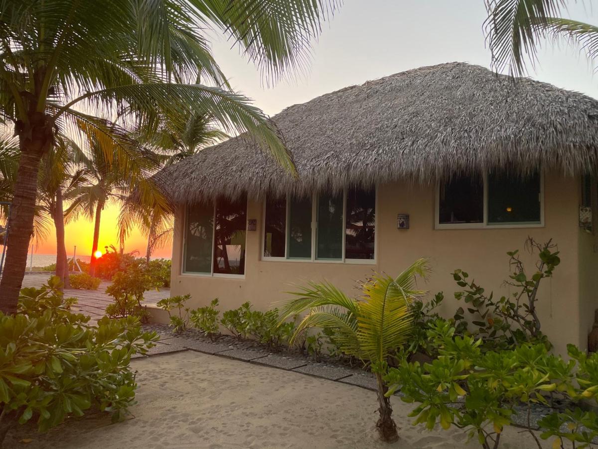 Bungalows Tree Tops - Adults Only photo