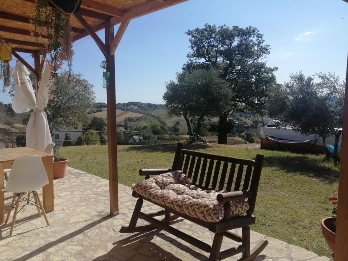 Casa degli Ulivi photo