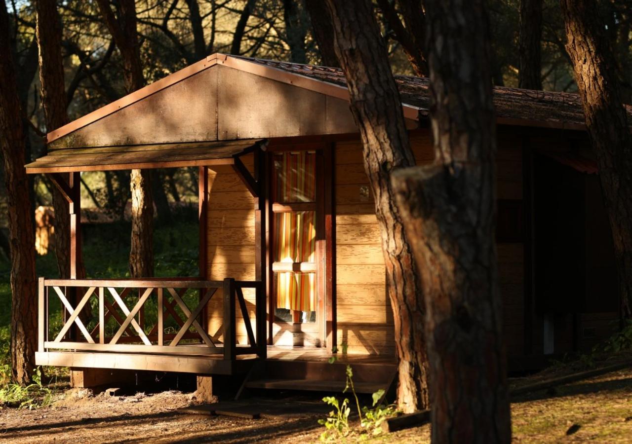 Lisboa Bungalows - 2