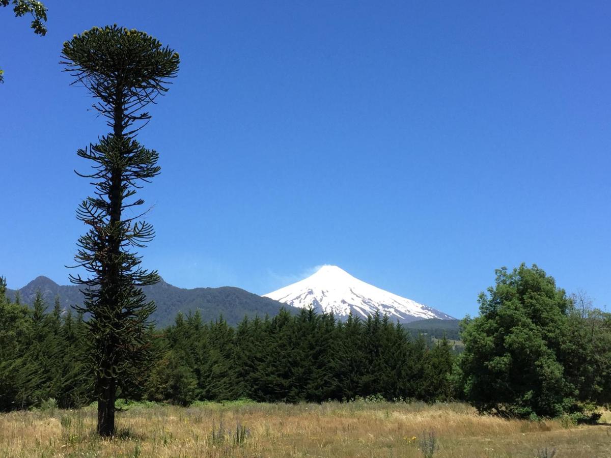 Complejo Buenavista Pucon photo