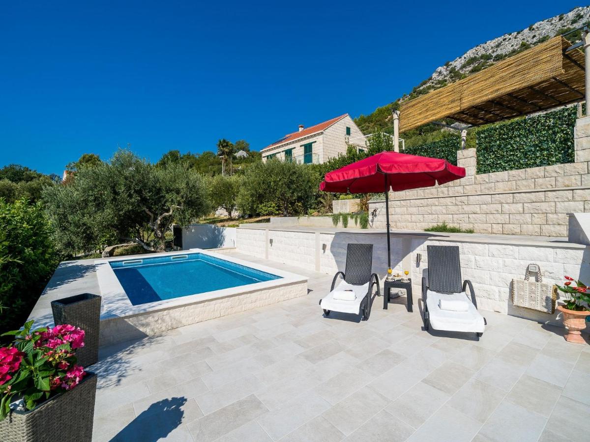 Villa Melita photo