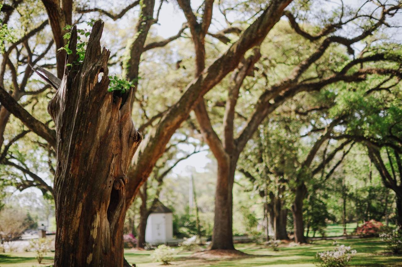 The Myrtles — photo 9