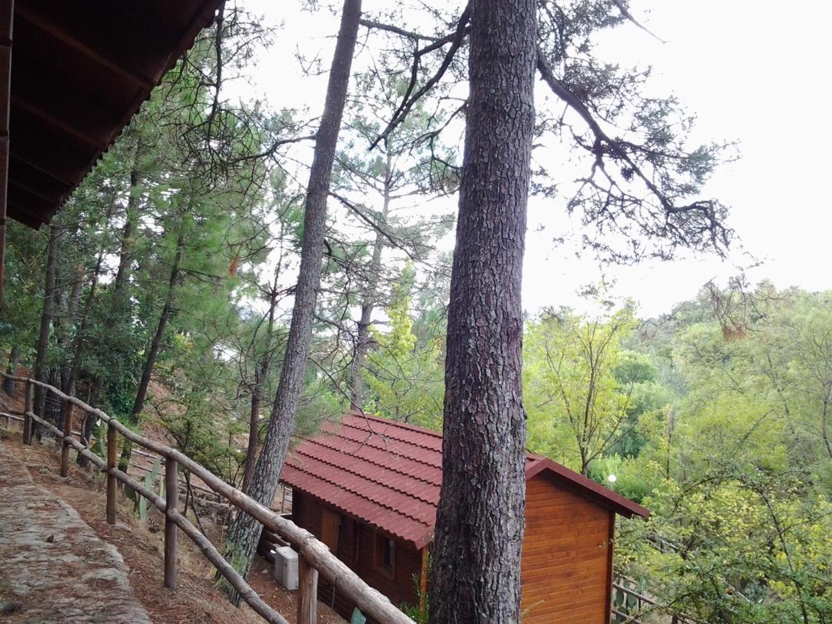 Camping La Eliza, Lanzahita – Updated 2021 Prices