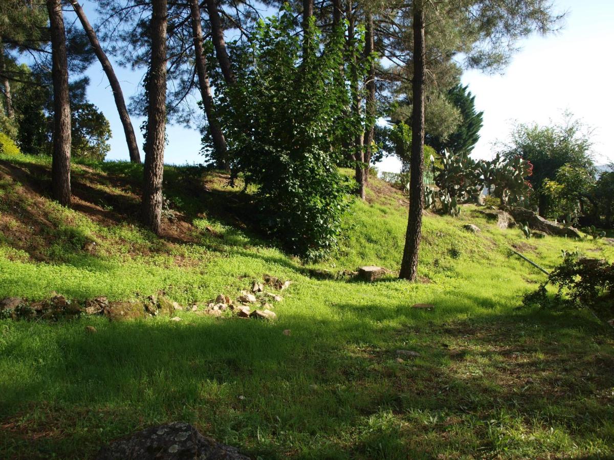Camping La Eliza, Lanzahita – Updated 2022 Prices