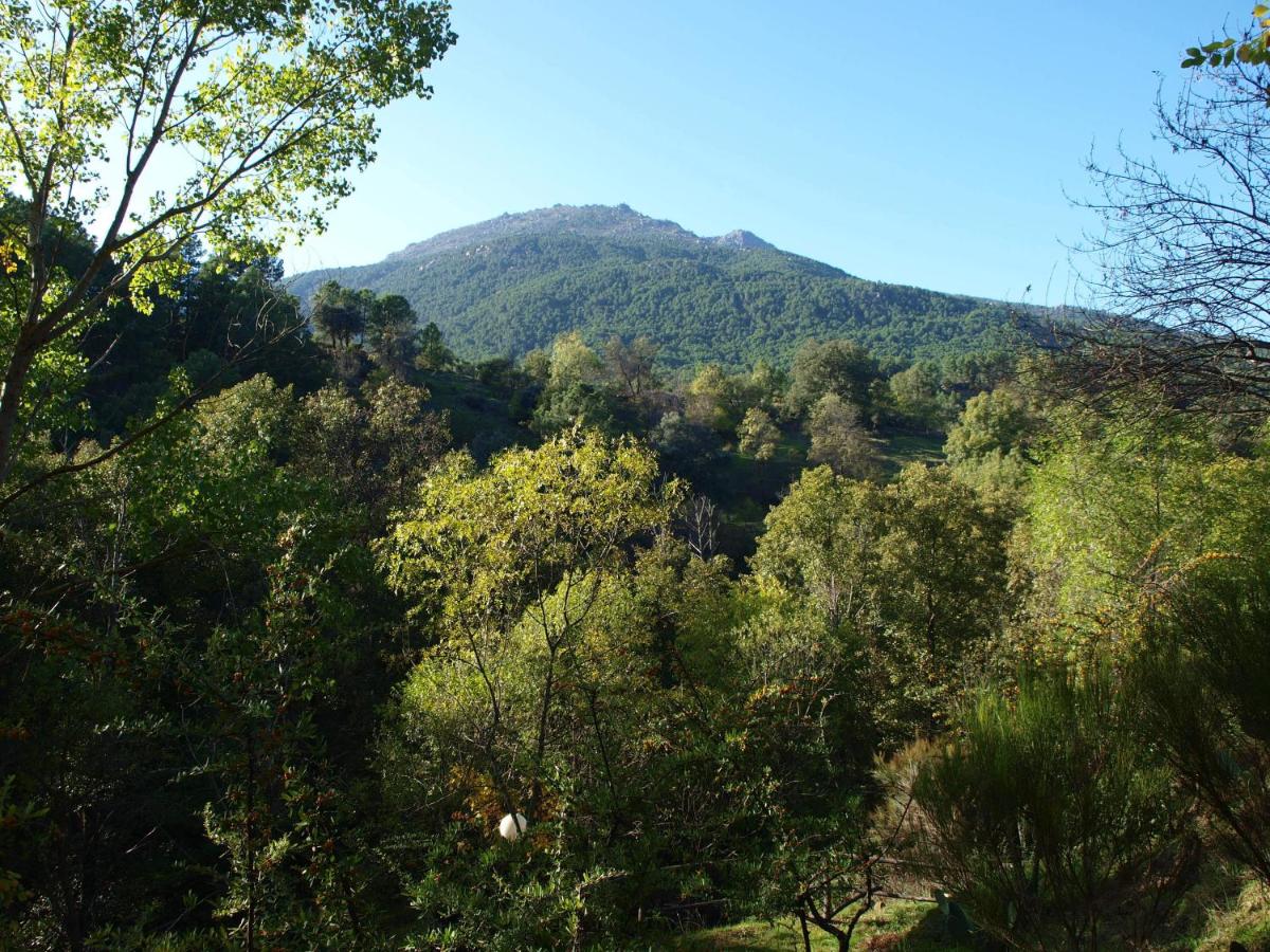Camping La Eliza, Lanzahita – Updated 2022 Prices