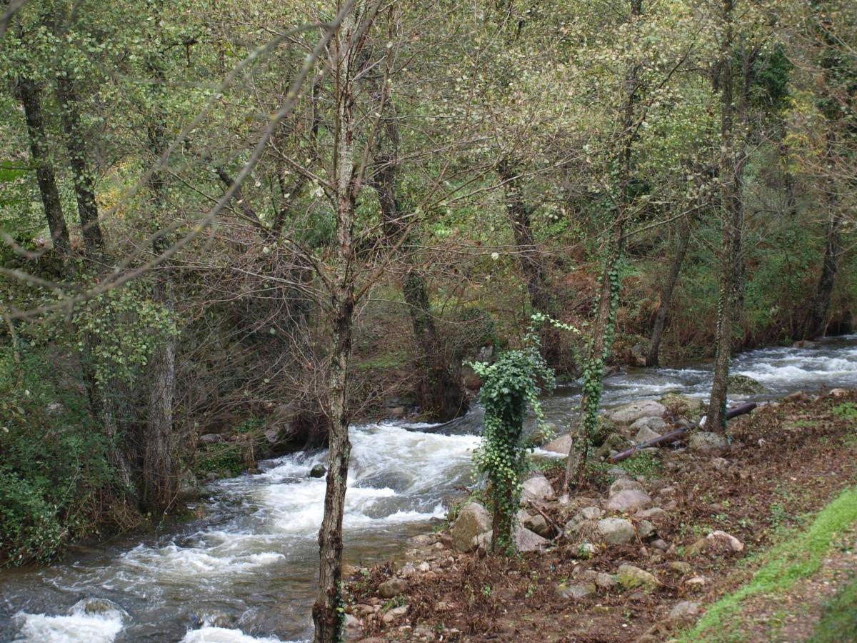 Camping La Eliza, Lanzahita – Updated 2022 Prices