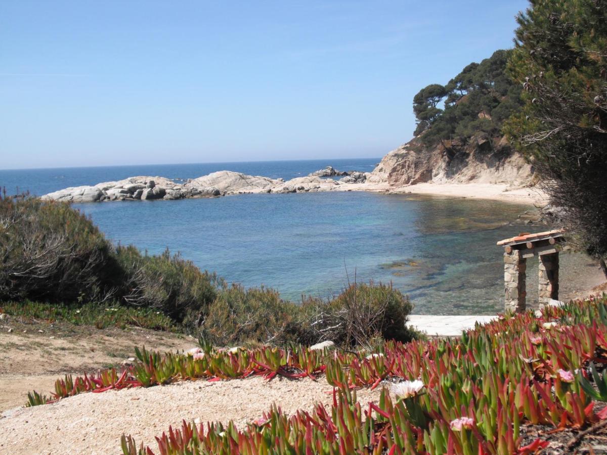 Apartment Laura La Fosca, Palamós, Spain - Booking.com