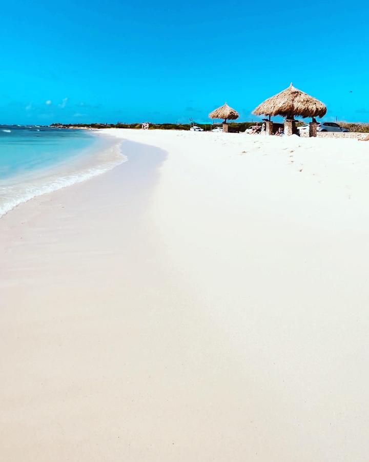 Ocean View Penthouse