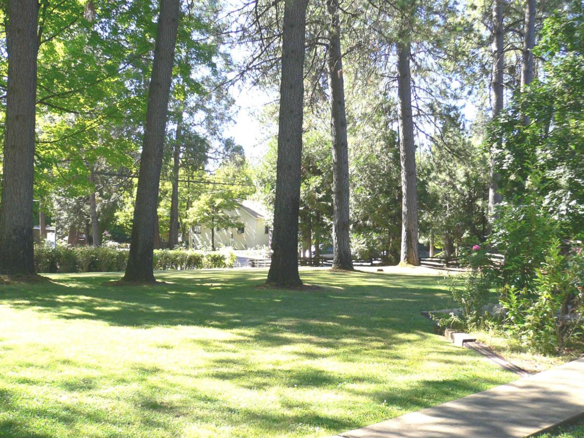 Nevada City Inn — photo 16