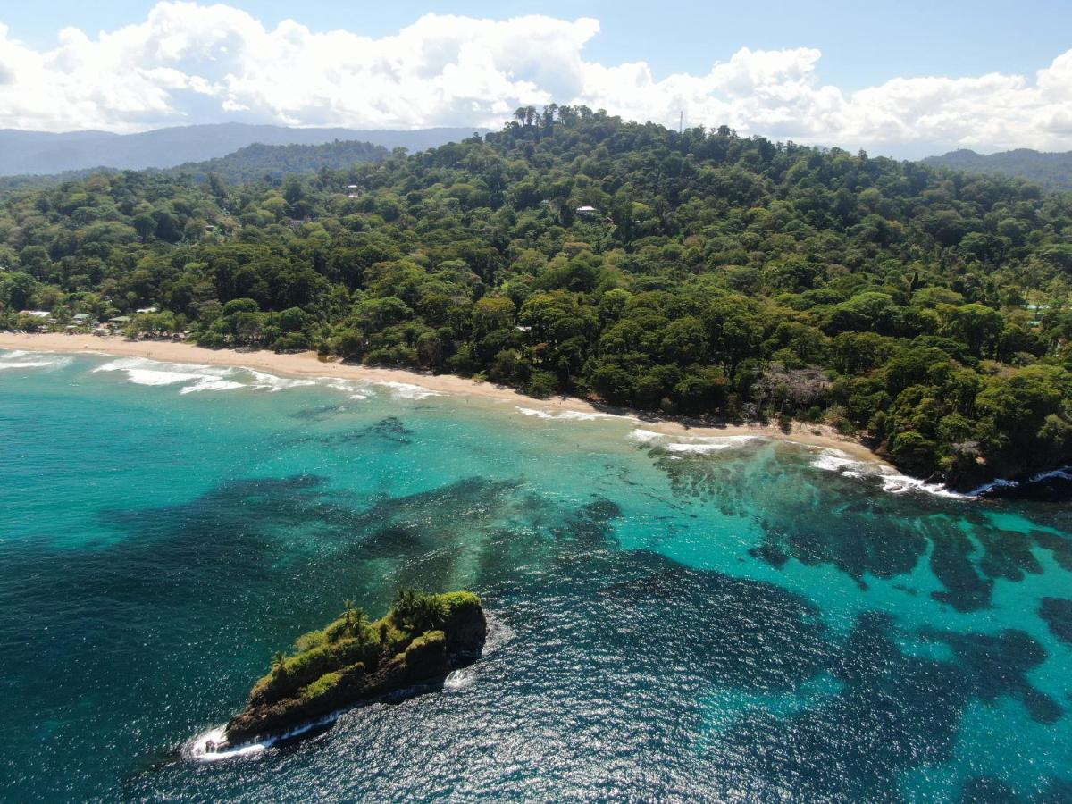 Cariblue Beach and Jungle Resort photo