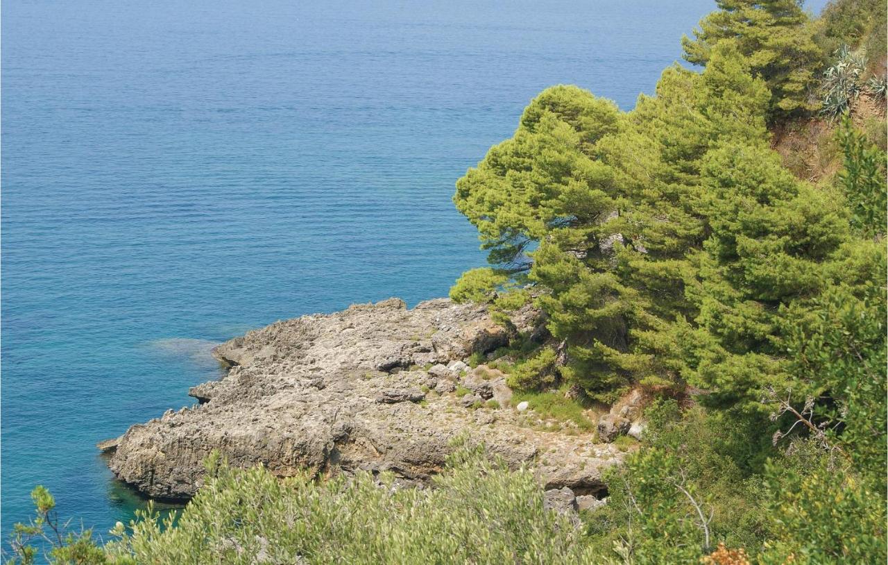 Villa Marino photo
