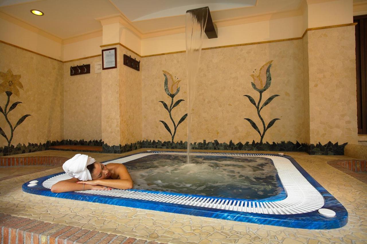 Airone Wellness Hotel photo