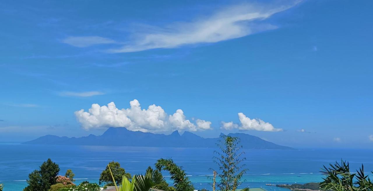 Studio Confort avec Piscine et Vue Tahiti Punaauia - 2