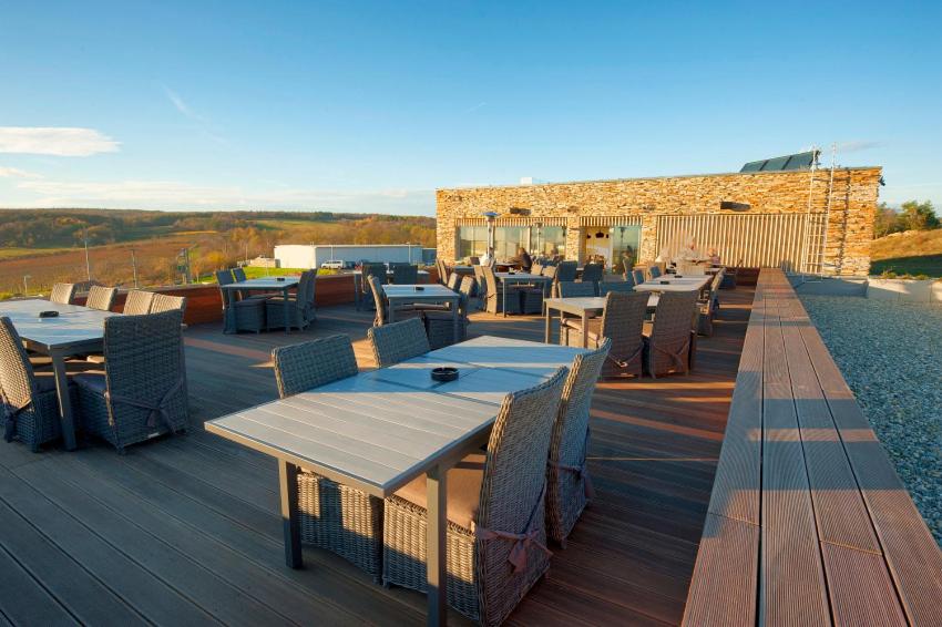 HOTEL VINICE HNANICE