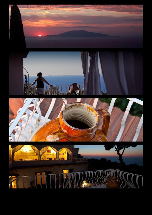 Il Giardino dell'Arte - 3