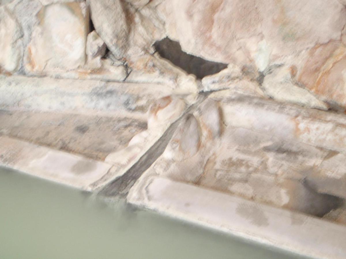 秘湯の宿 元泉館 那須塩原市 22年 最新料金