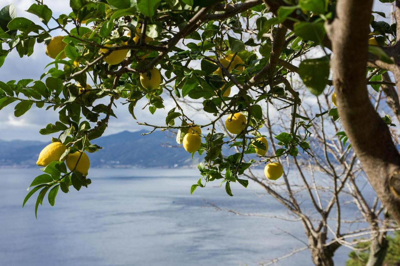Altafiumara Resort & Spa photo