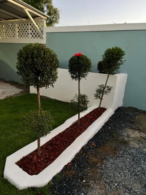 Playa y Campo Studio - 5