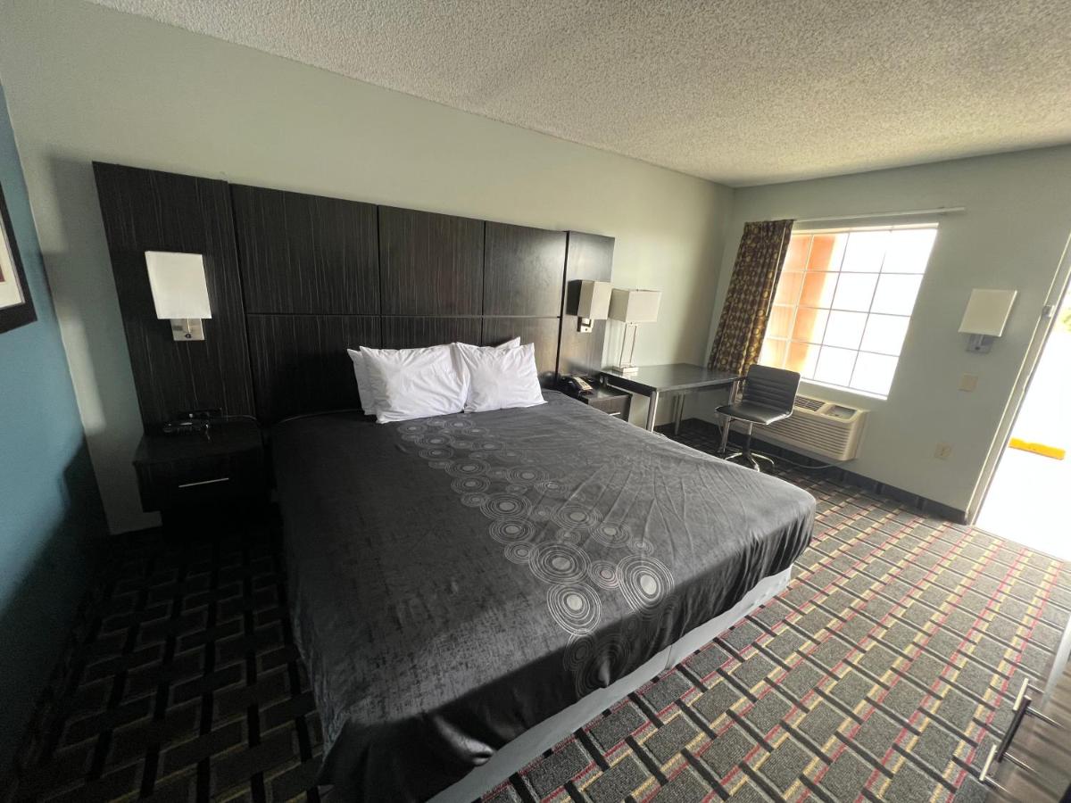 Executive Inn — photo 23