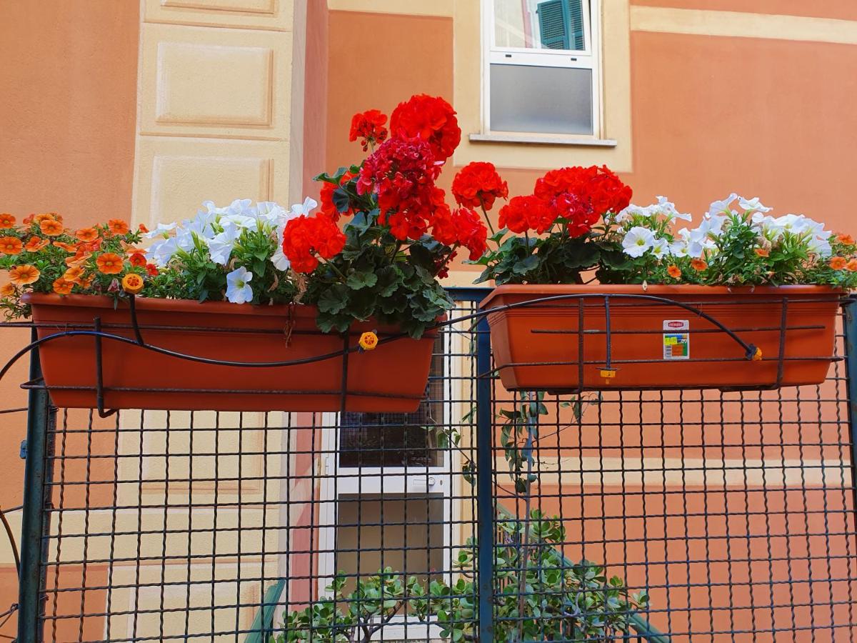 Open space con giardino vicino mare 010007-LT-0081 - 5