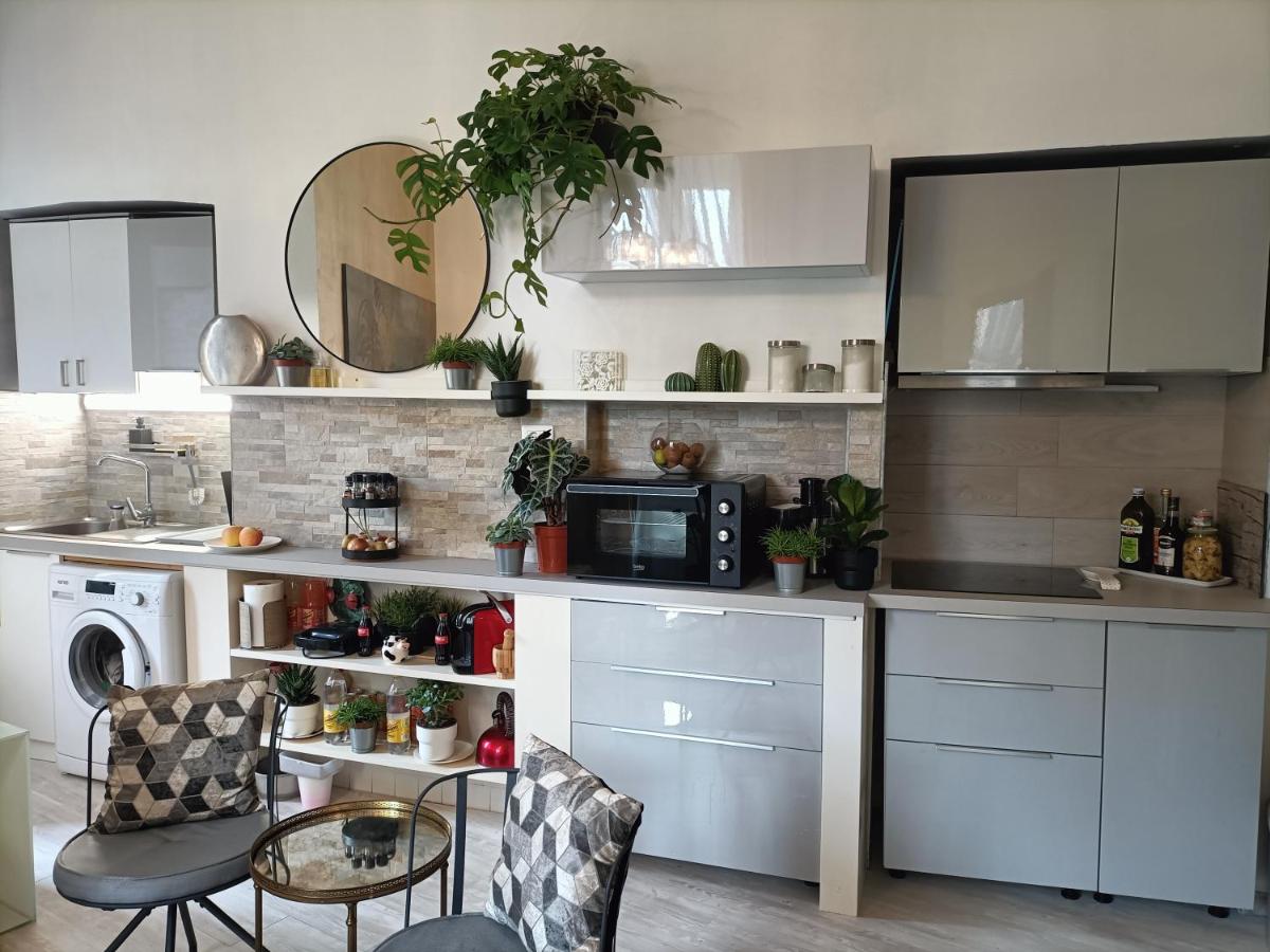 Luca's Vatican Hospitality - 4