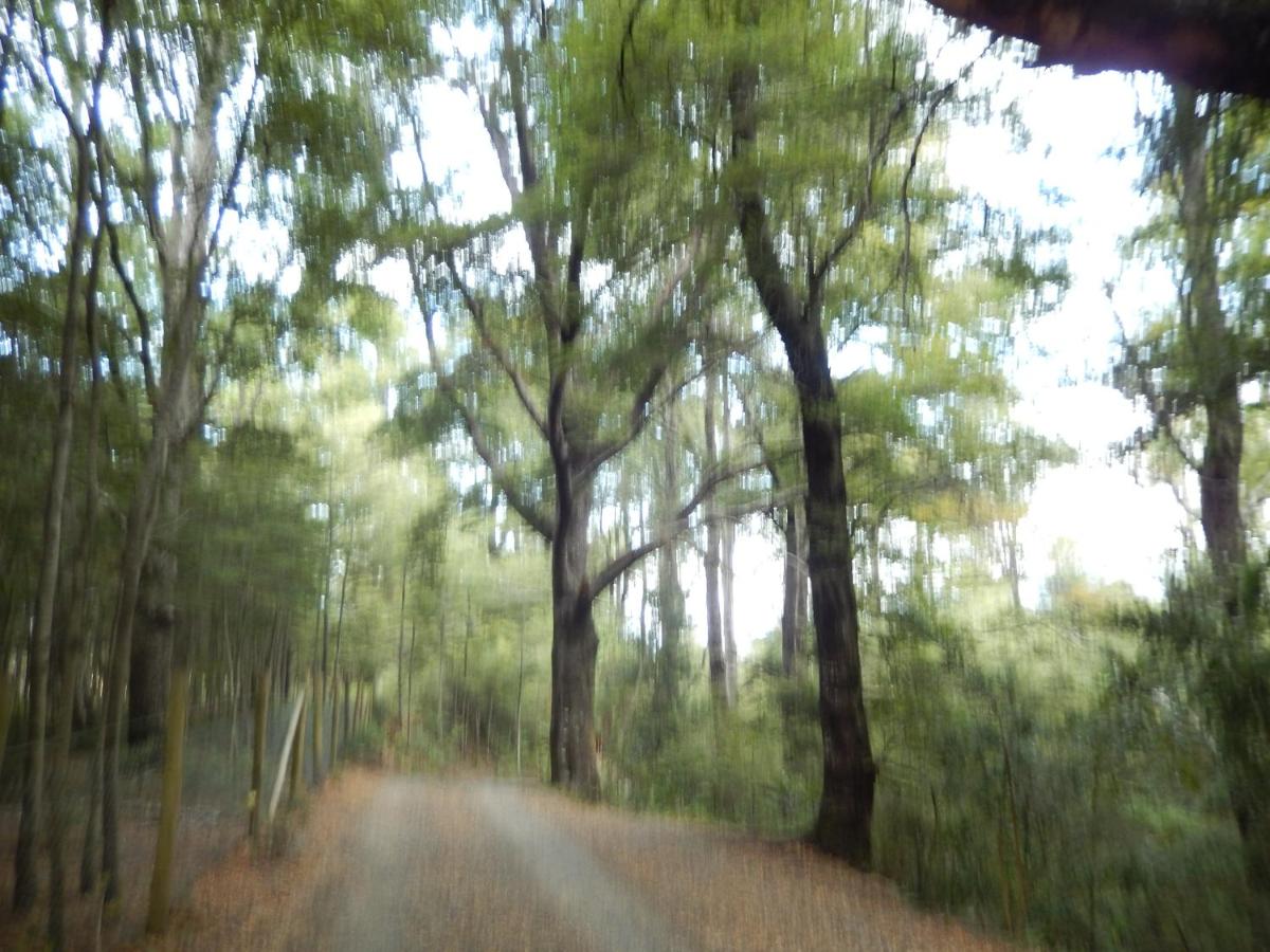 Complejo Kari Mapu Park photo