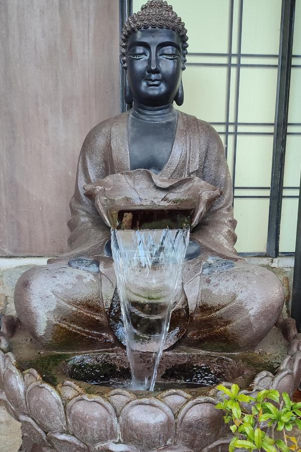 Zen Guest House - Museu do Bonsai - 3