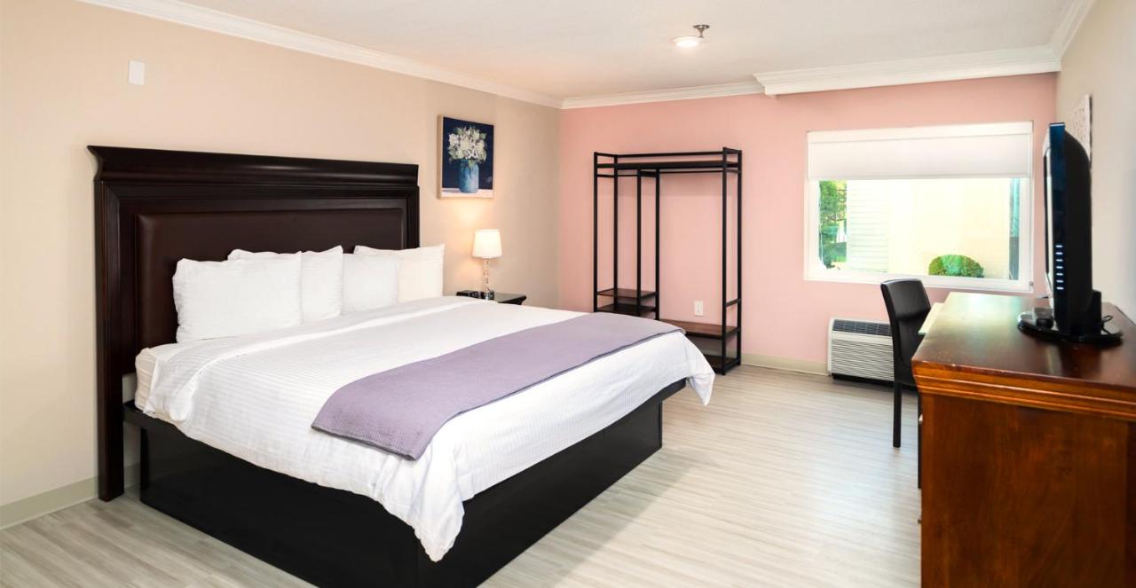 Bella Vista Hotel & Suites — photo 10