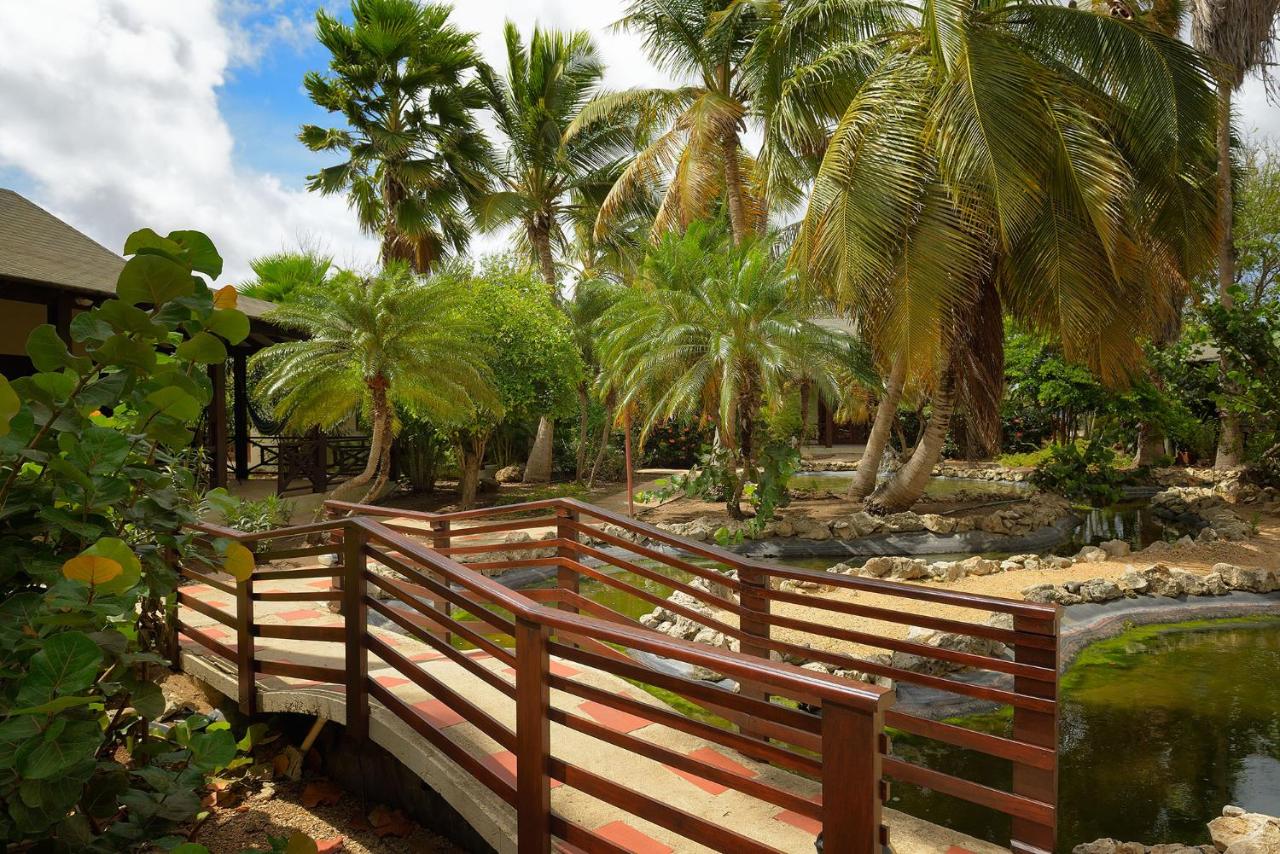 Captain Don's Habitat photo