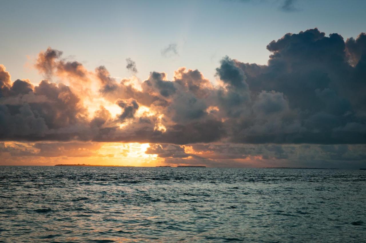 Brickwood Rasdhoo- Beach front - 5