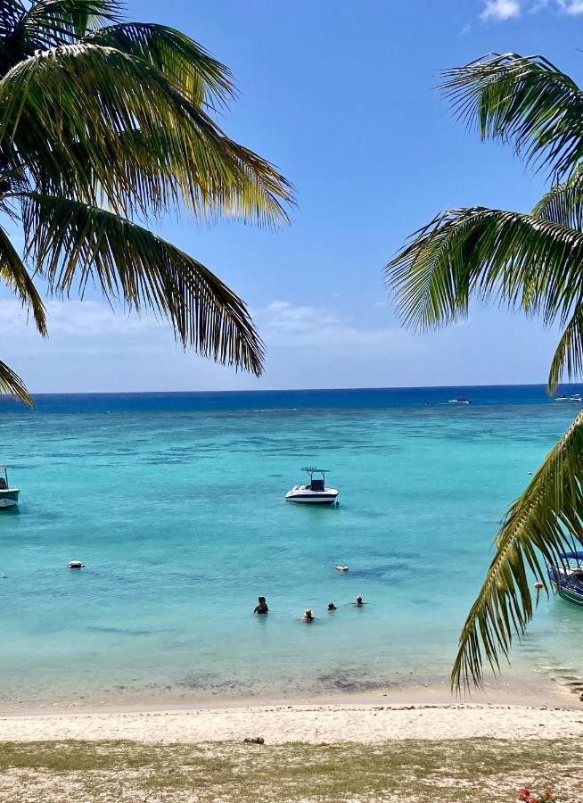 Serenity apartments - 3