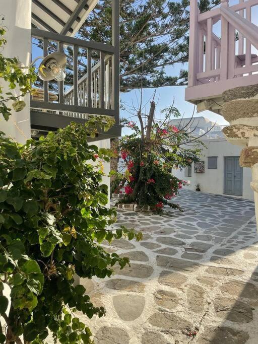 Bougainvillea Cave Suite - Old Town - 5