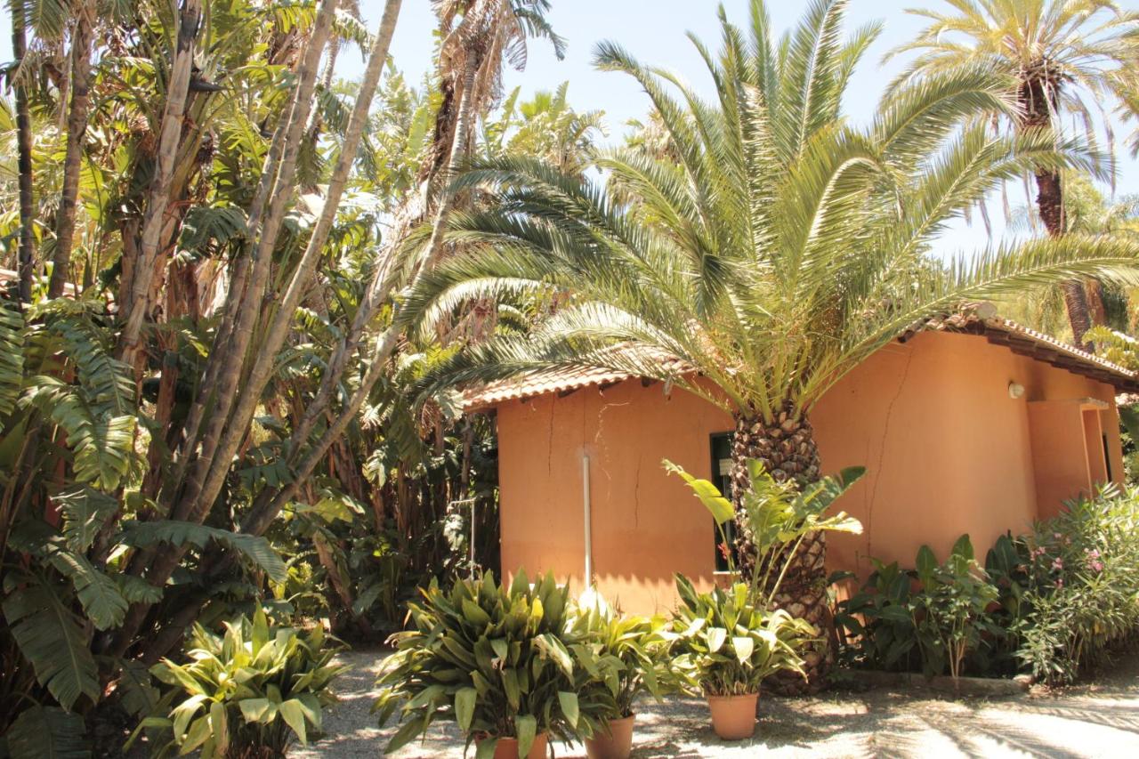 Le Palme Garden photo