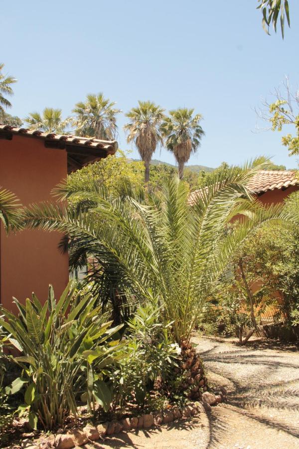 Le Palme Garden photo
