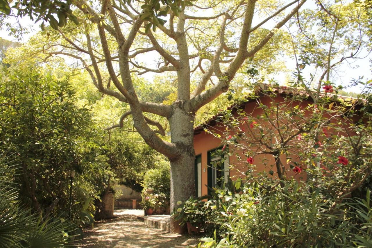 Le Palme Garden photo