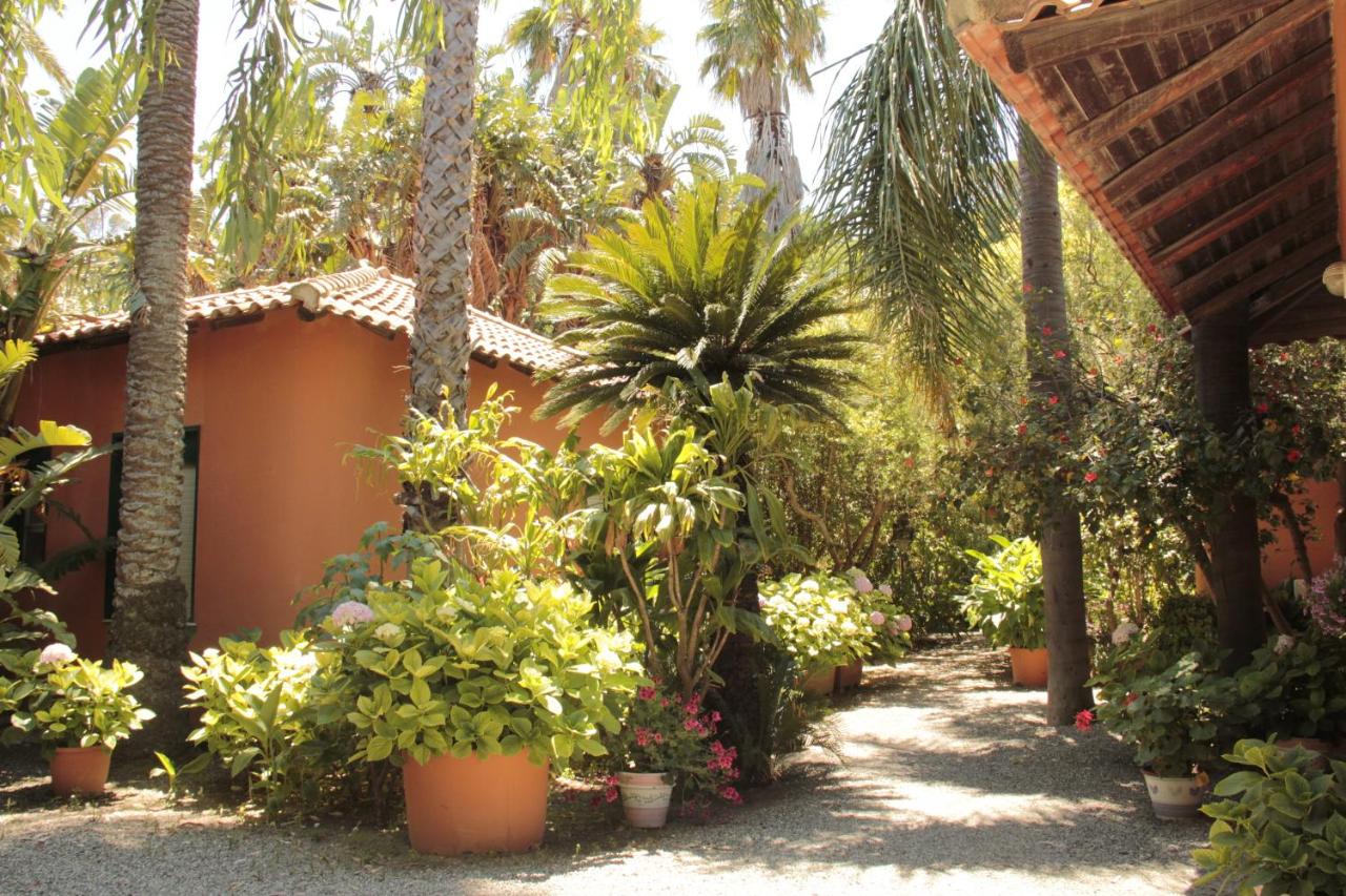 Le Palme Garden photo