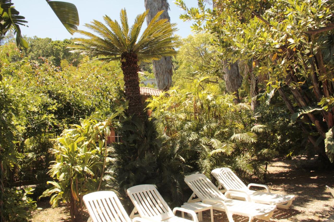 Le Palme Garden photo