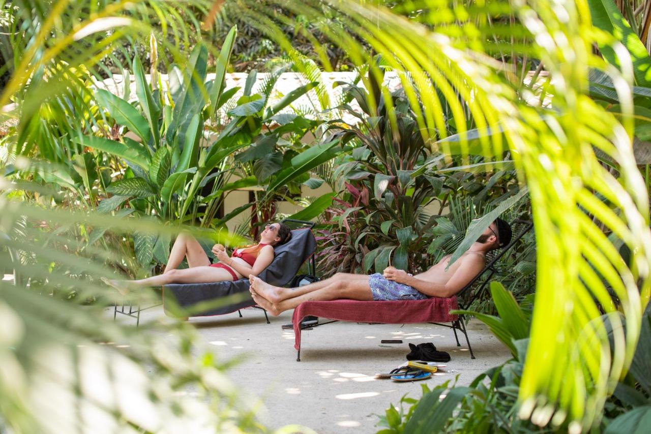 Believe Surf & Yoga Lodge Santa Teresa photo