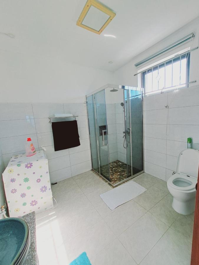 L'oiseau du Paradis - 3