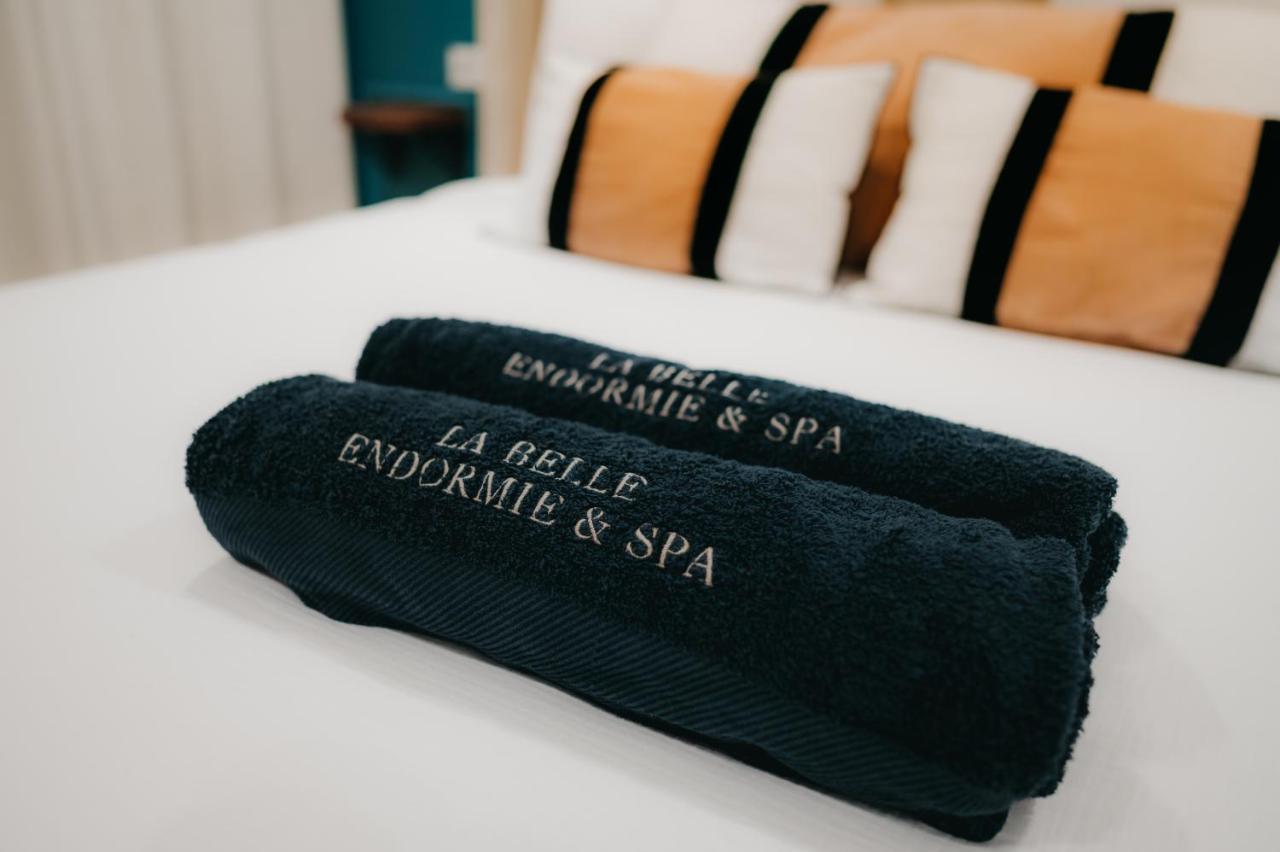 La Belle Endormie B&B French Guest house - 3