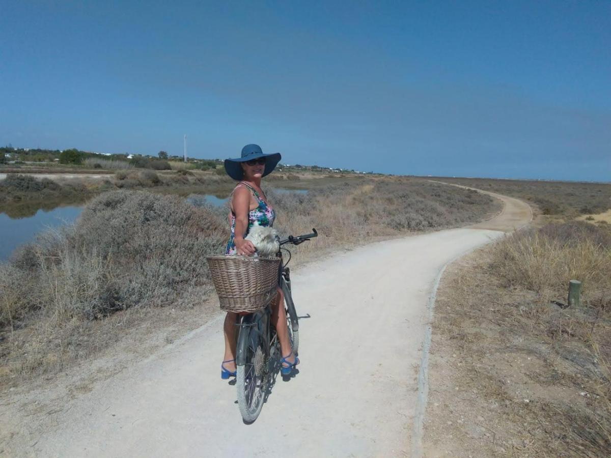 Suites Sunny hill - 2