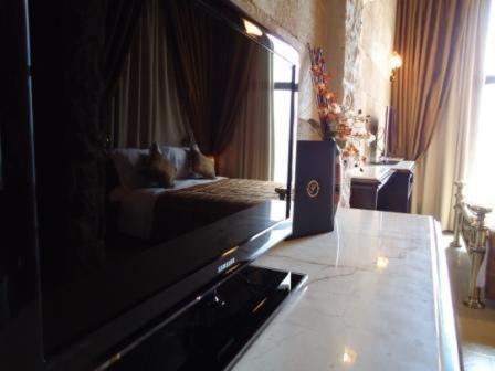 Siena Hotel photo