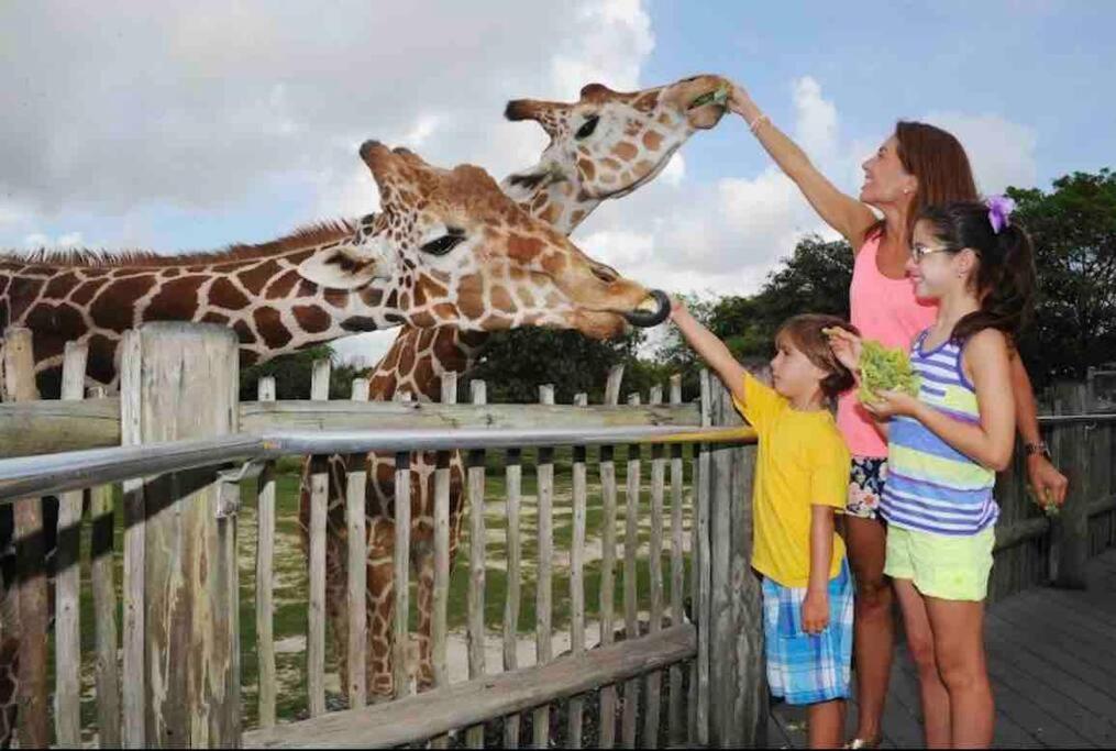 Amazing & cozy Duplex near Zoo Miami ! - 3