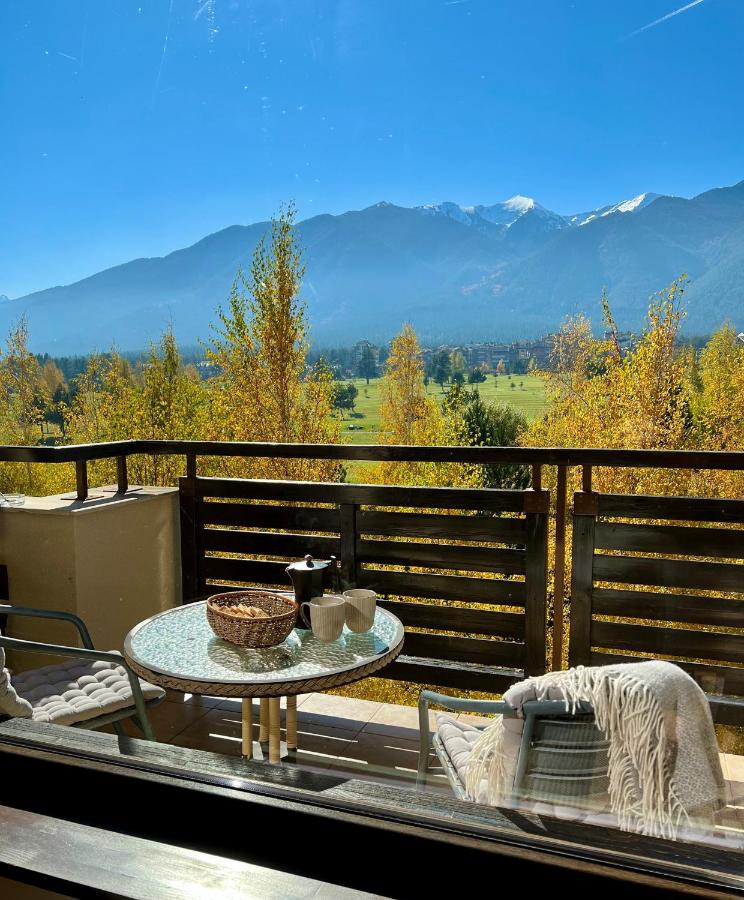 Terra Hotel photo