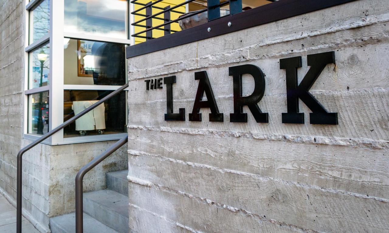 The LARK — photo 14