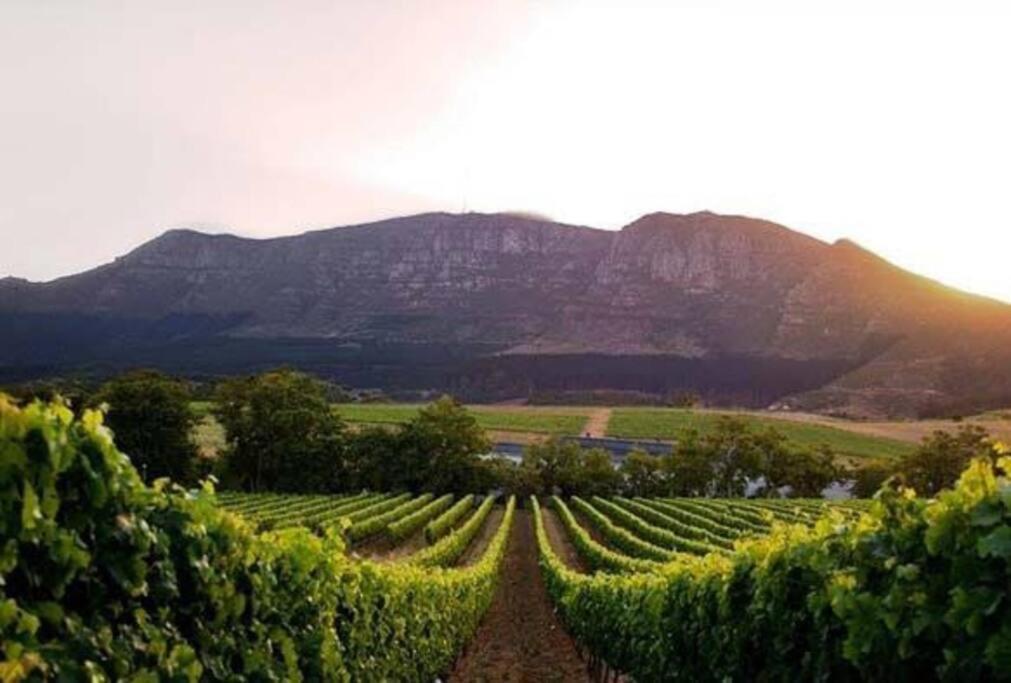 Heart of Constantia - SOLAR POWERED - 4